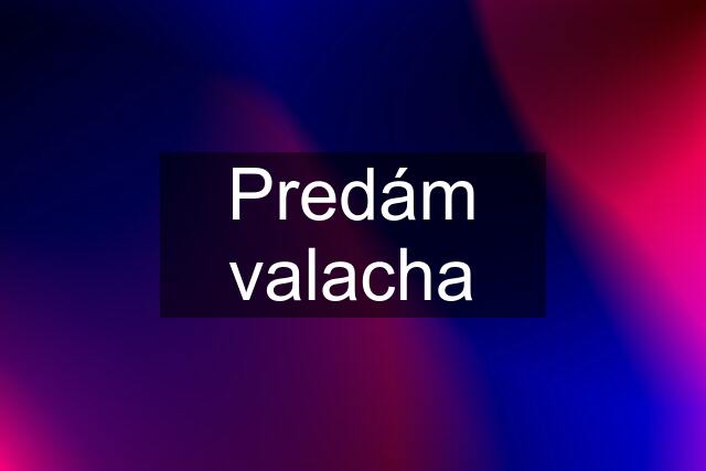 Predám valacha