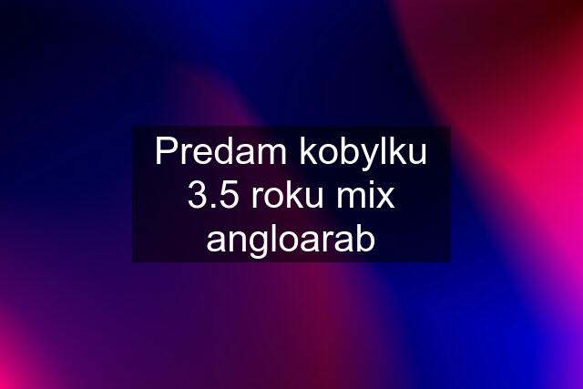 Predam kobylku 3.5 roku mix angloarab