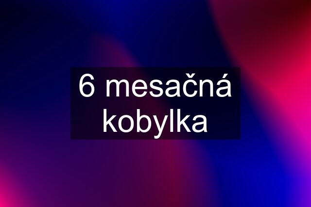 6 mesačná kobylka