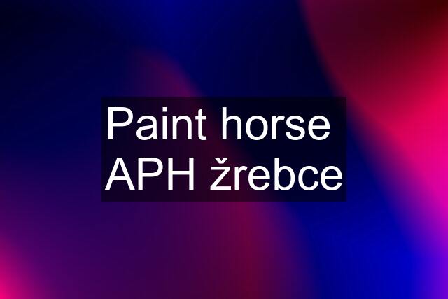 Paint horse  APH žrebce