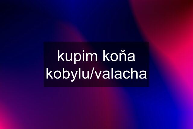 kupim koňa kobylu/valacha