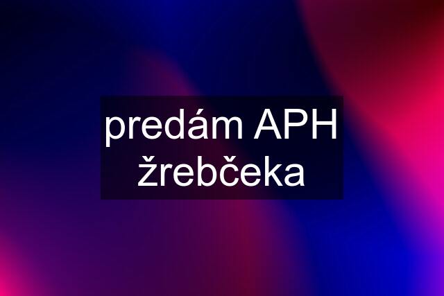 predám APH žrebčeka