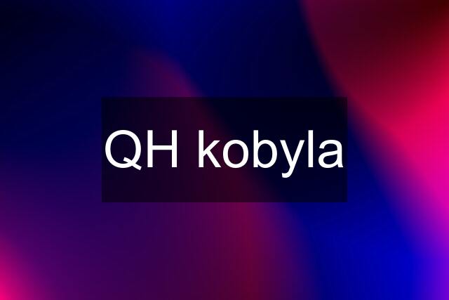 QH kobyla