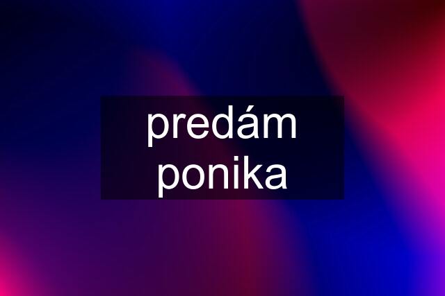 predám ponika