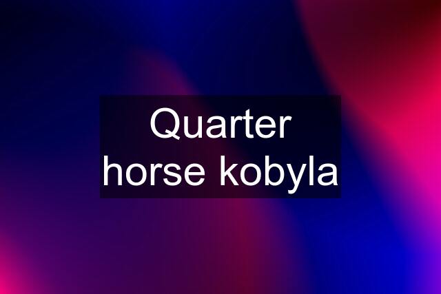 Quarter horse kobyla