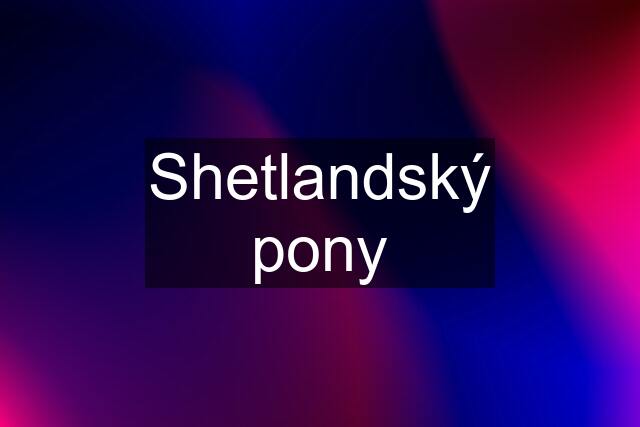Shetlandský pony