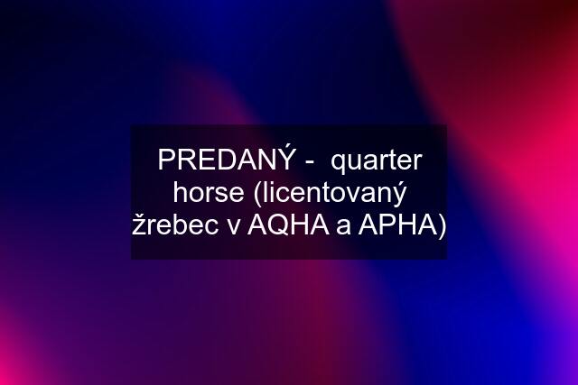 PREDANÝ -  quarter horse (licentovaný žrebec v AQHA a APHA)