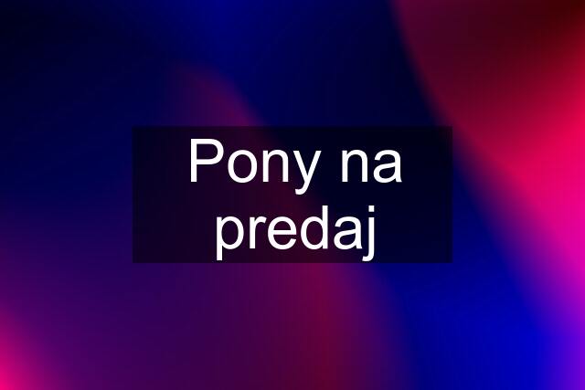 Pony na predaj