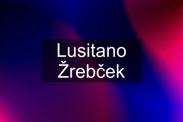 Lusitano Žrebček