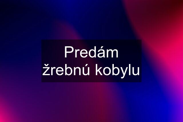 Predám žrebnú kobylu