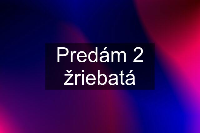 Predám 2 žriebatá