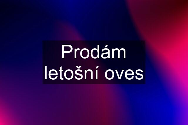 Prodám letošní oves