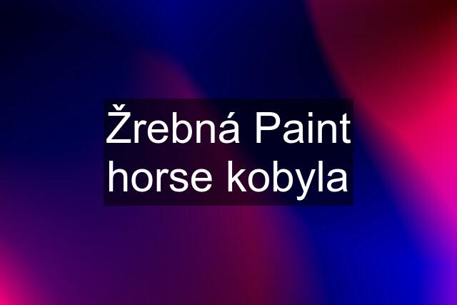 Žrebná Paint horse kobyla