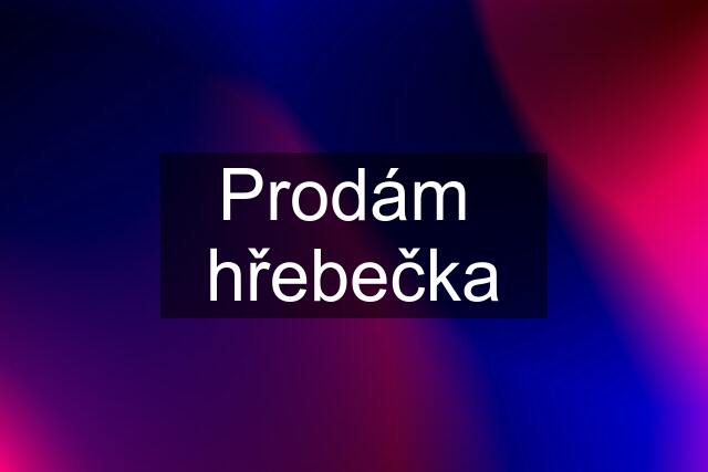 Prodám  hřebečka