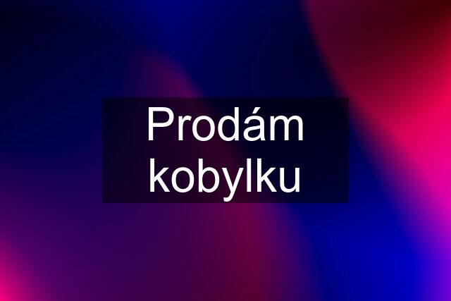 Prodám kobylku