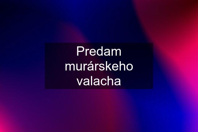 Predam murárskeho valacha