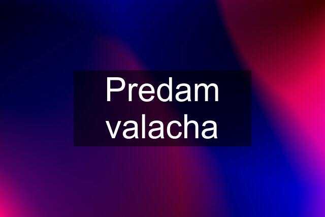 Predam valacha