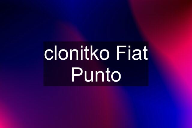 clonitko Fiat Punto