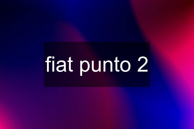 fiat punto 2