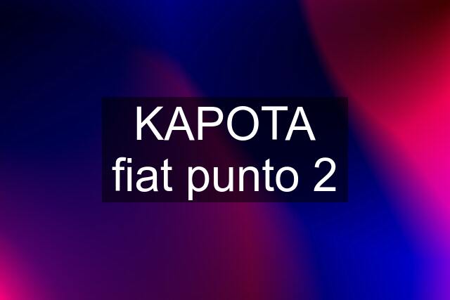 KAPOTA fiat punto 2