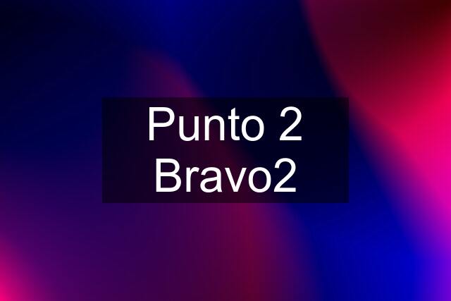 Punto 2 Bravo2