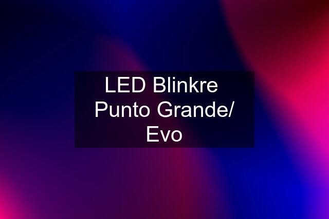 LED Blinkre  Punto Grande/ Evo