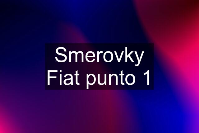 Smerovky Fiat punto 1