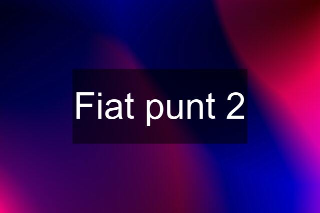 Fiat punt 2