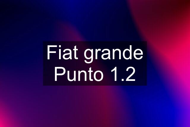 Fiat grande Punto 1.2