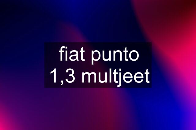 fiat punto 1,3 multjeet