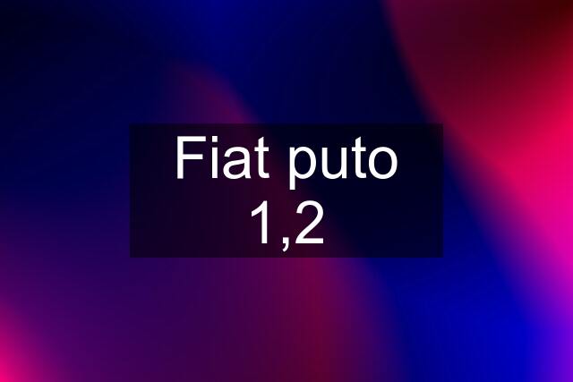 Fiat puto 1,2