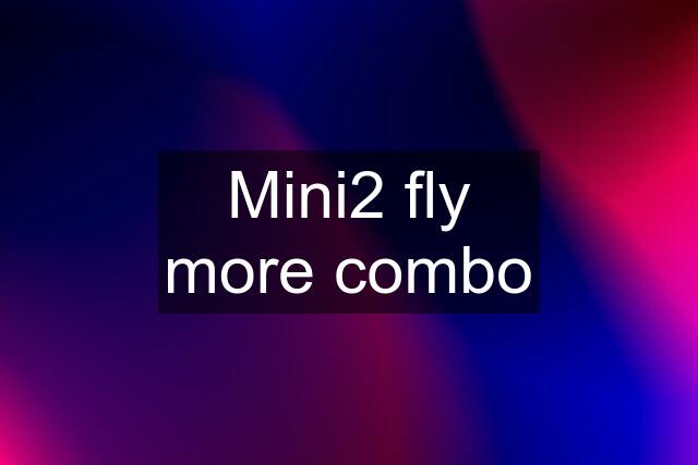 Mini2 fly more combo