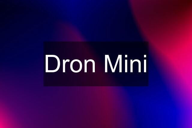 Dron Mini