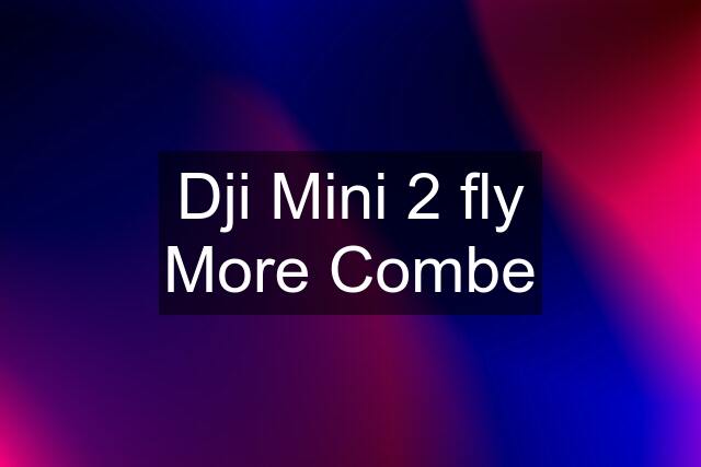 Dji Mini 2 fly More Combe