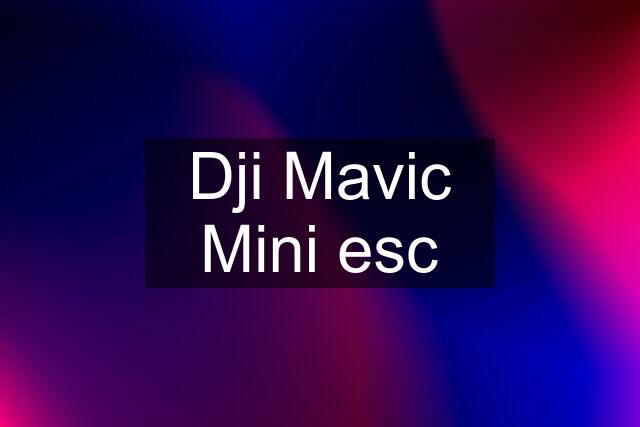 Dji Mavic Mini esc