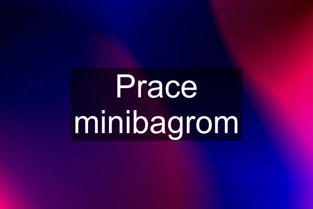 Prace minibagrom