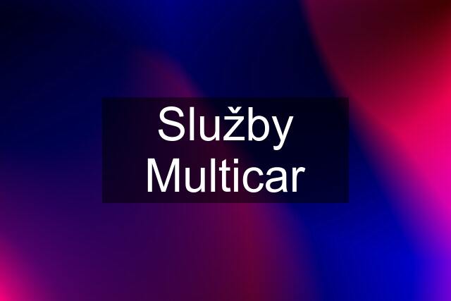 Služby Multicar