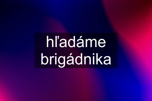 hľadáme brigádnika