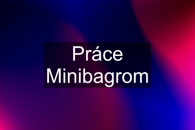 Práce Minibagrom