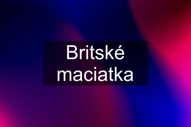 Britské maciatka