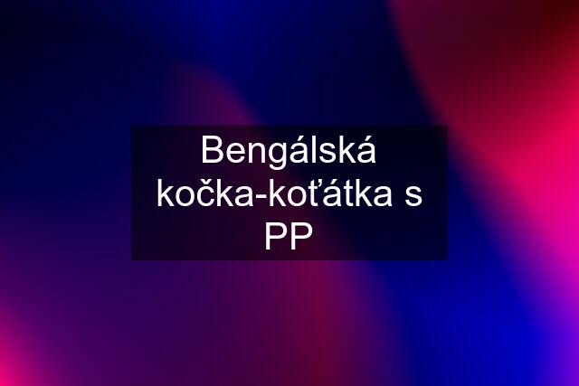 Bengálská kočka-koťátka s PP