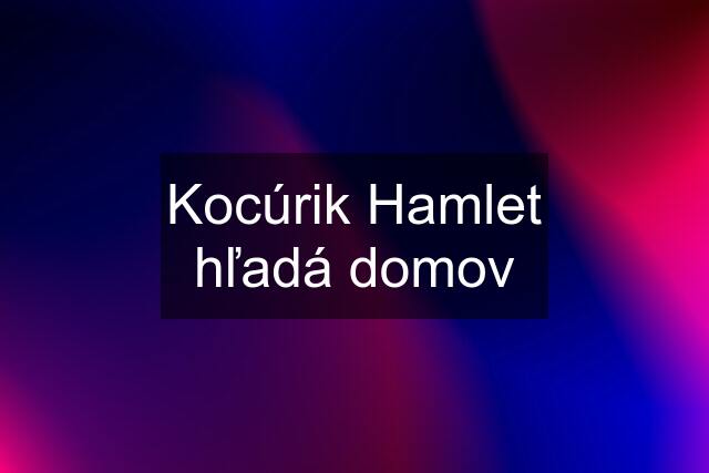 Kocúrik Hamlet hľadá domov