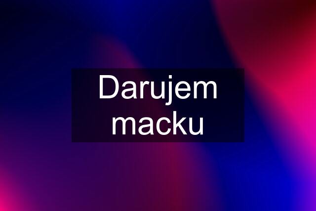 Darujem macku