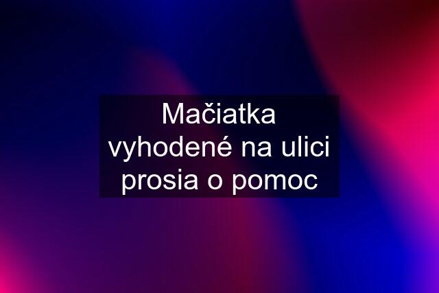 Mačiatka vyhodené na ulici prosia o pomoc