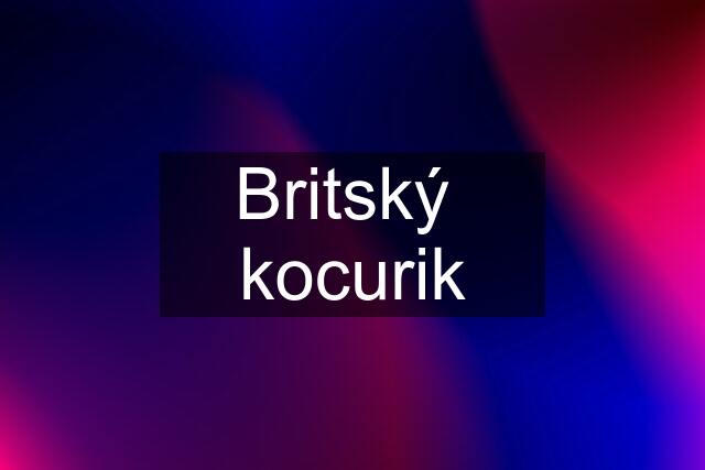 Britský  kocurik