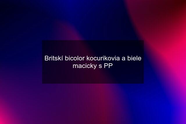 Britskí bicolor kocurikovia a biele macicky s PP