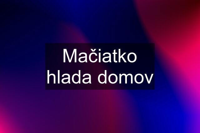 Mačiatko hlada domov