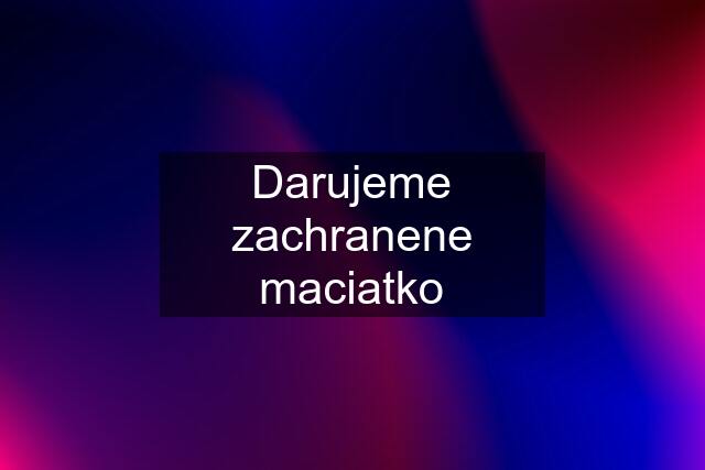 Darujeme zachranene maciatko