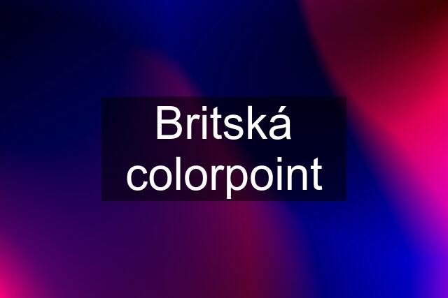 Britská colorpoint