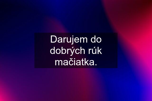 Darujem do dobrých rúk mačiatka.